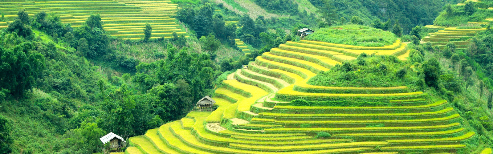 Sapa Tours